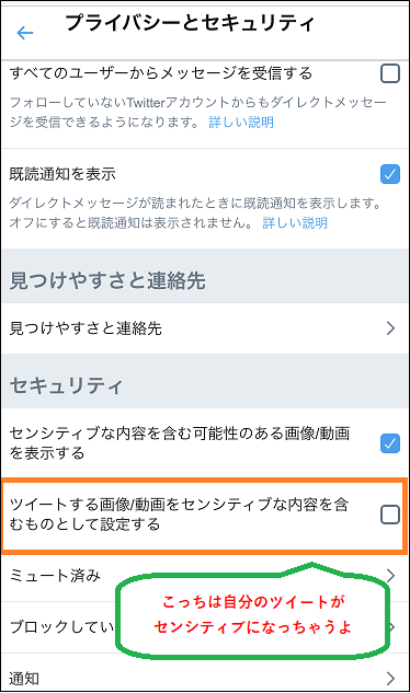 Twitter Iphoneでセンシティブな内容のツイートが見られるよう設定を解除する方法 アプリだとできない いかせんもあんすぁ